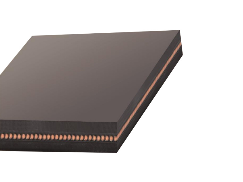DPP Energy-Saving Conveyor Belt